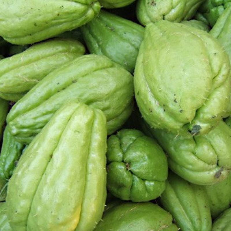 Chaillotte Chaillotte