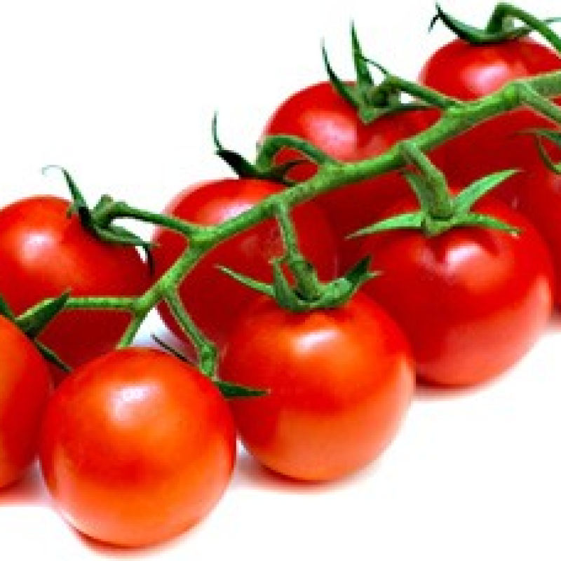 Tomate cerise Sweet millions