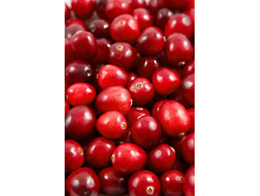 Canneberge Big pearl