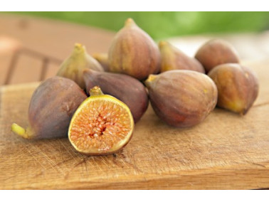 Figuier  Goutte d'or