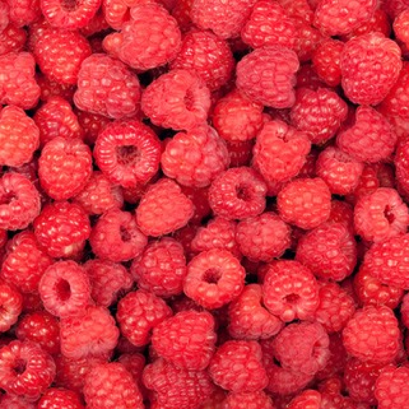 Framboisier rouge "Heritage" remontant