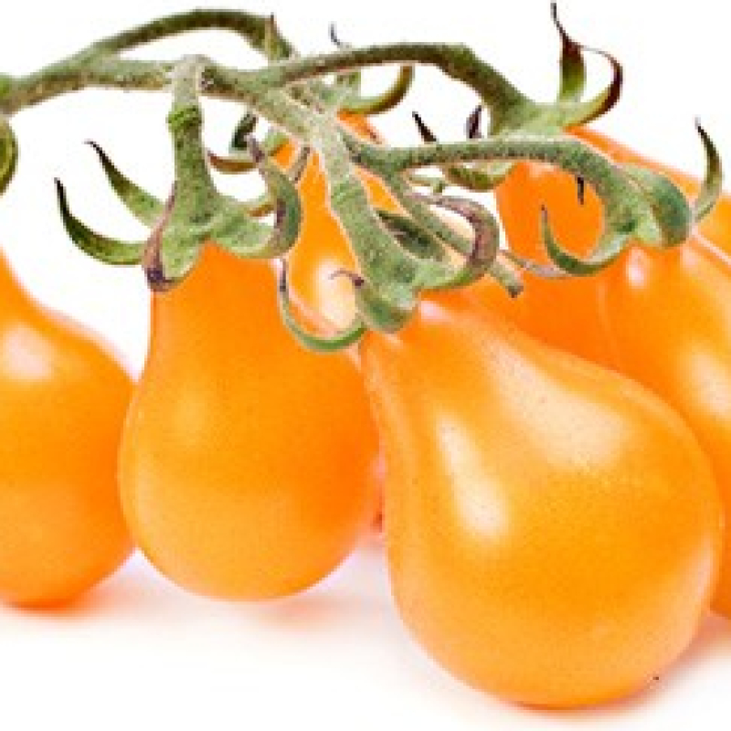 Tomate cerise jaune Yellow Pearshaped Tomate cerise jaune Yellow Pearshaped
