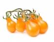 Tomate cerise jaune Yellow Pearshaped Tomate cerise jaune Yellow Pearshaped
