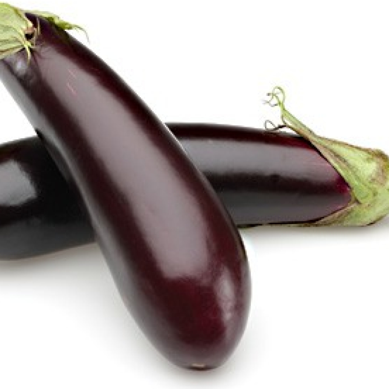 Aubergine Baluroi Aubergine Baluroi
