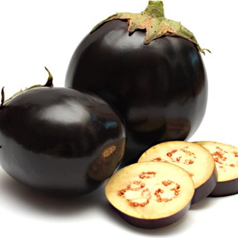 Aubergine ronde de Valence Aubergine ronde de Valence