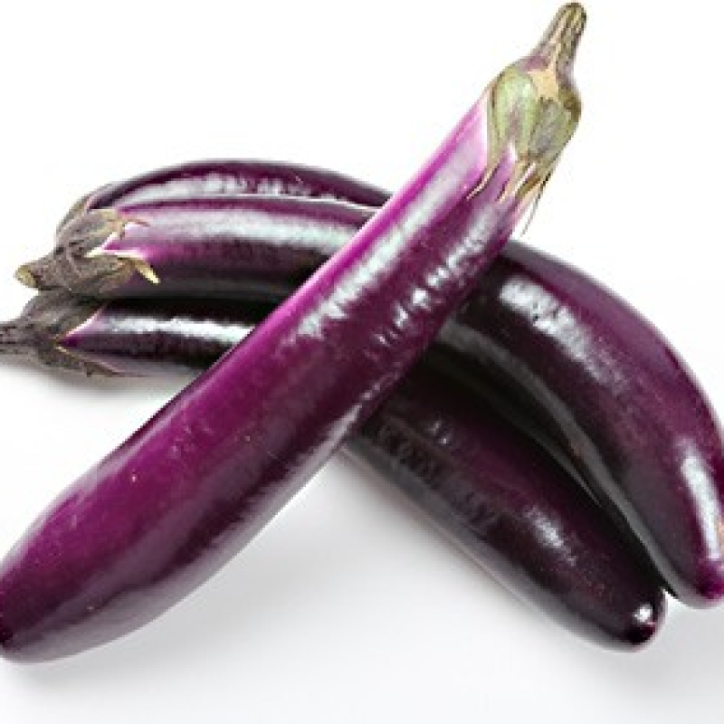 Aubergine de Barbentane Aubergine de Barbentane