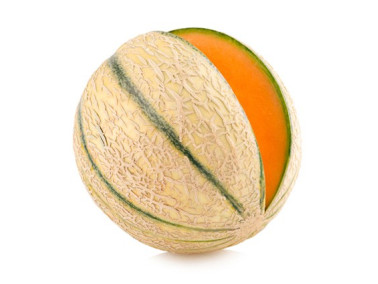 Melon charentais Troubadour