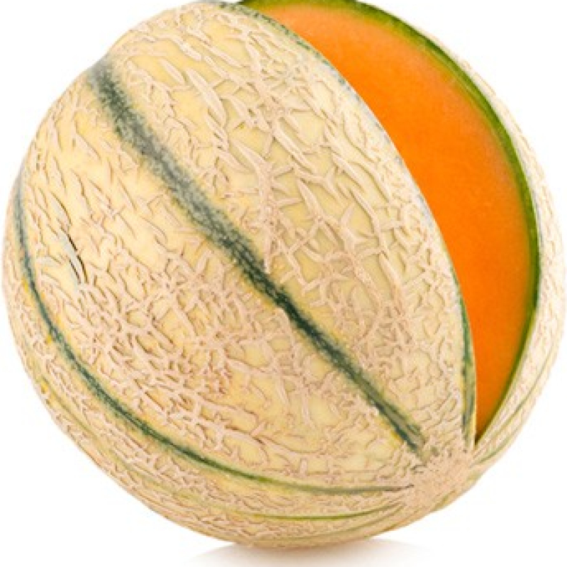 Melon charentais Troubadour