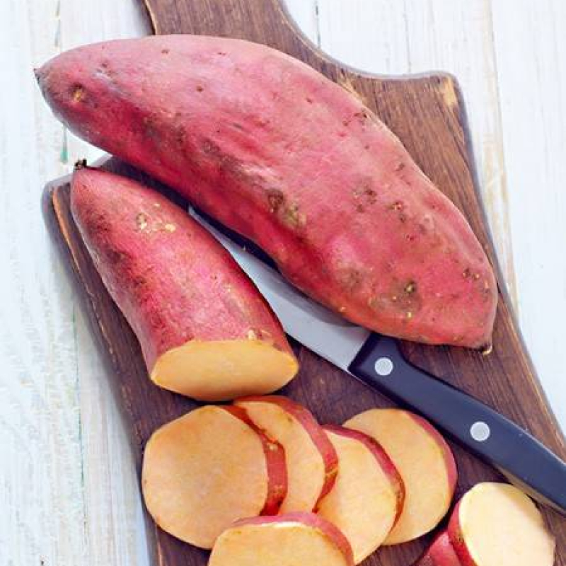 Patate douce Erato White