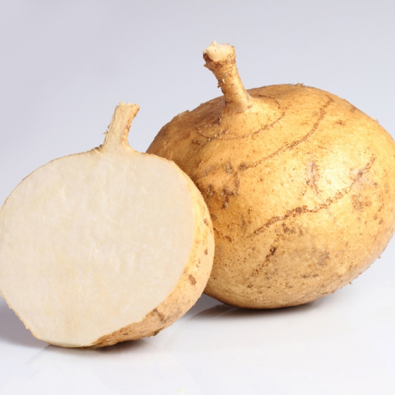 Jicama Jicama