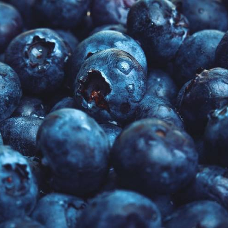 Myrtillier "Legacy" Myrtillier "Legacy"