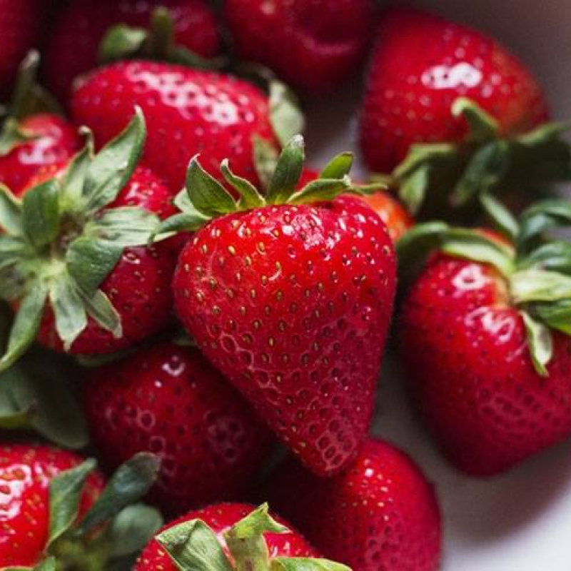 Fraisier remontant Charlotte Fraisier remontant Charlotte