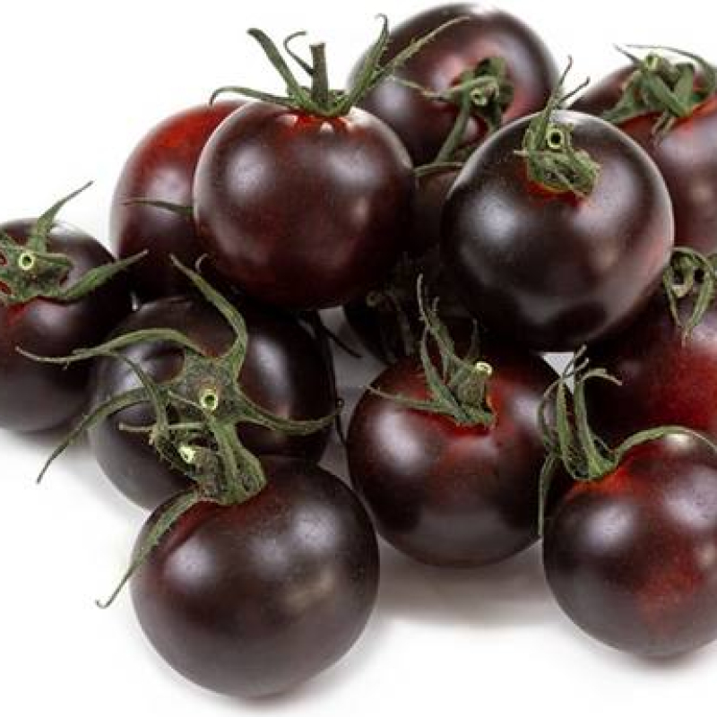 Tomate cerise Black Cherry Tomate cerise Black Cherry