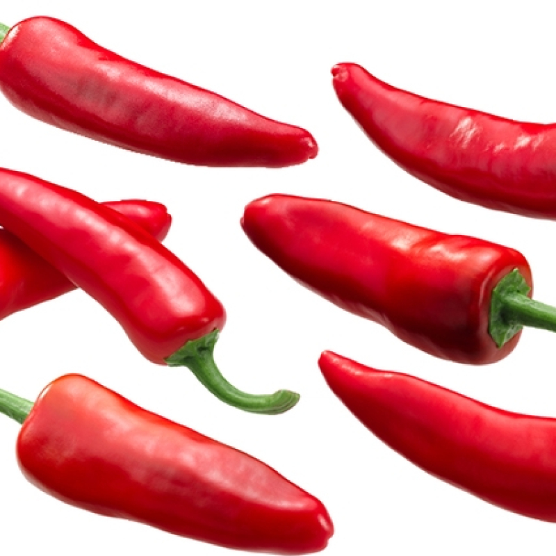 Piment Basque Gorria Piment Basque Gorria