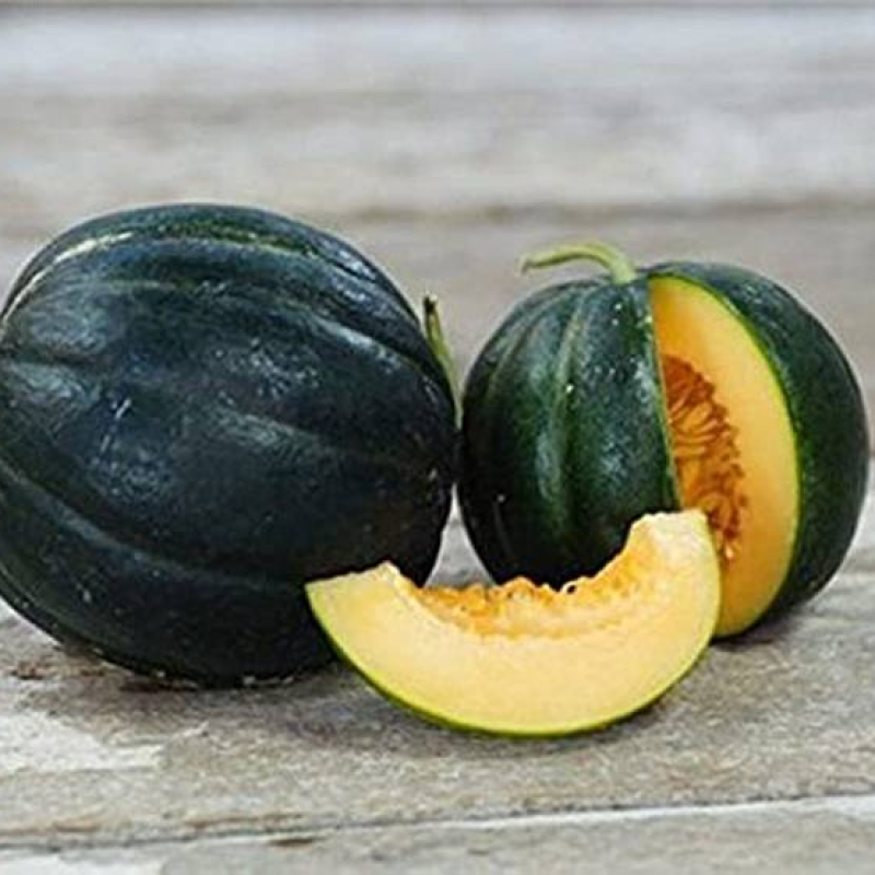 Melon noire des Carmes Melon noire des Carmes