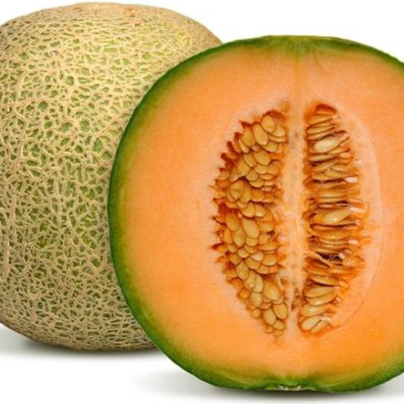 Melon sucrin de Tours