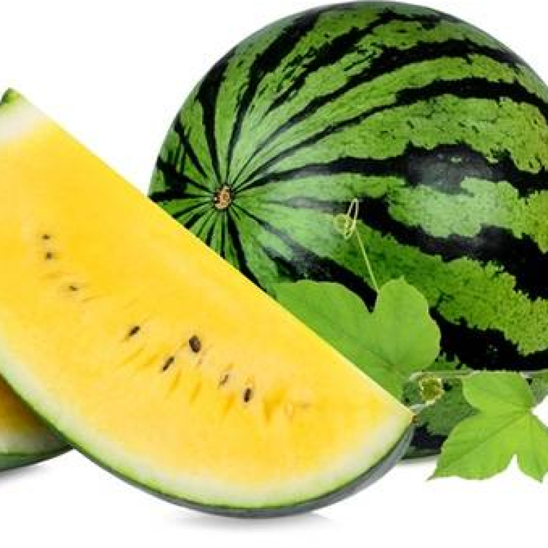 Pastèque à confire à graines rouges