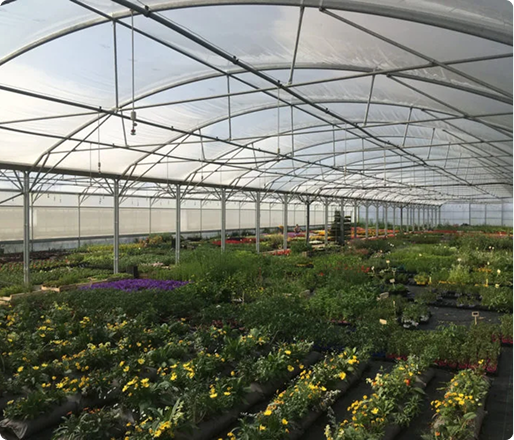 LD Végétal Robichon